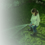 Woman watering her manicured lawn