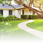 Frequently Asked Questions Fairway Lawns Lawn Care Treatment Services