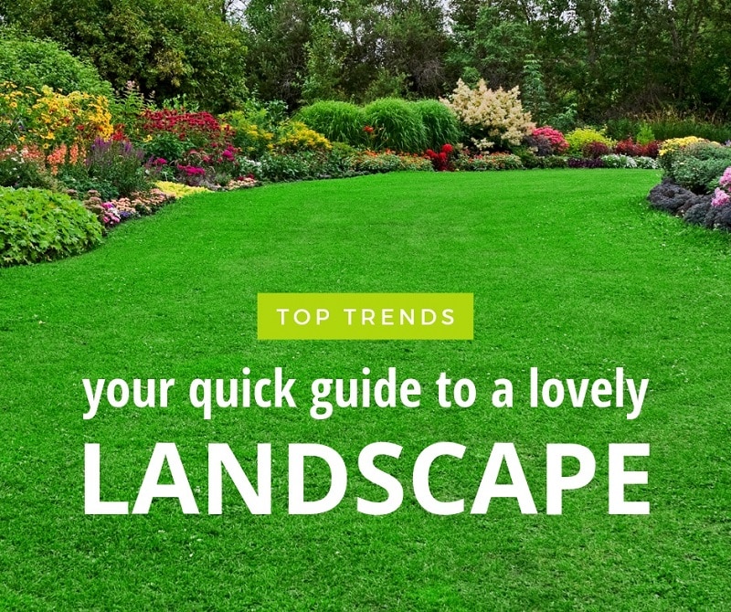 your quick guide to a lovely landscape