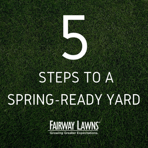 5 Steps to a Spring-Ready Yard