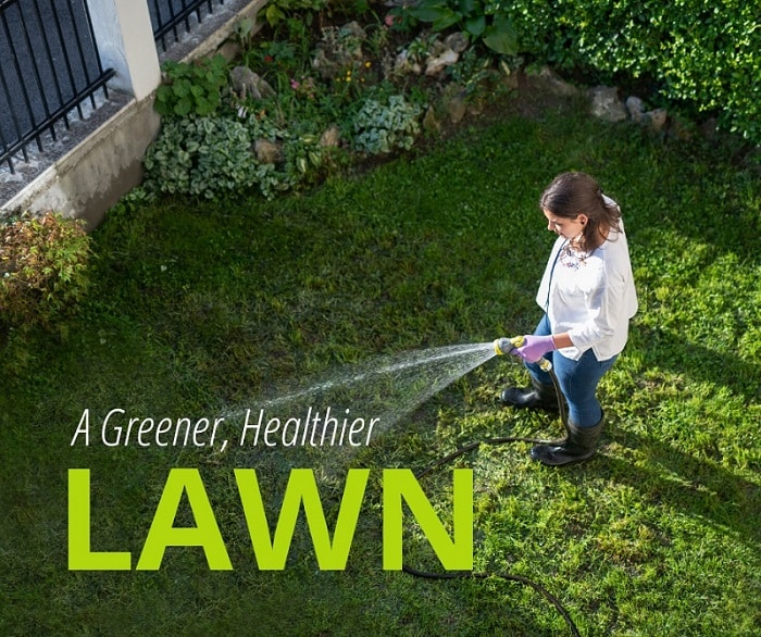 a greener, healthier lawn