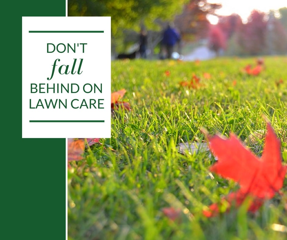 Don't Fall behind on lawn care