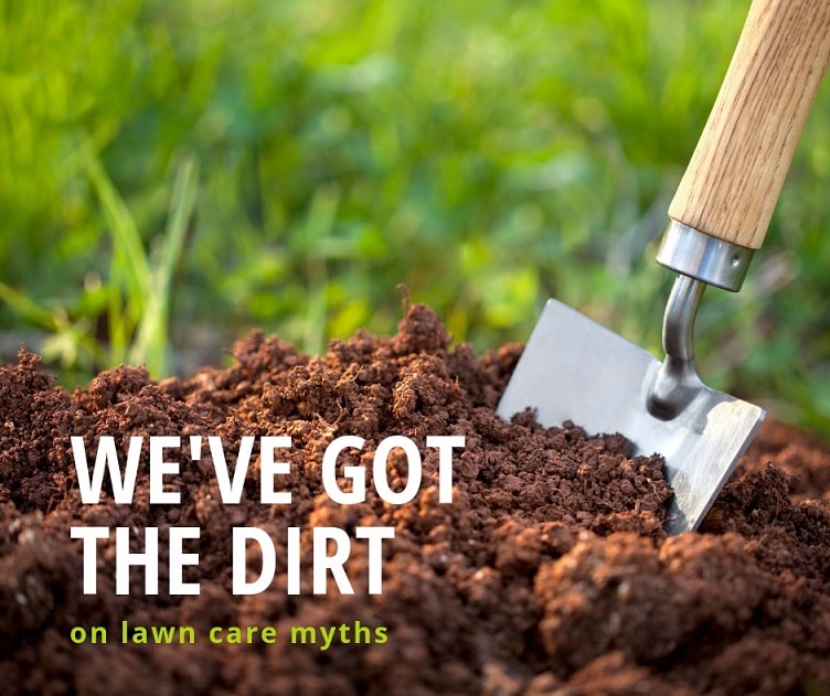 we've got the dirt on lawn care myths