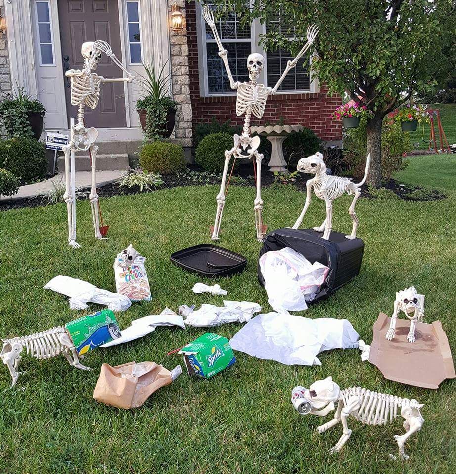 skeleton Halloween display in front yard