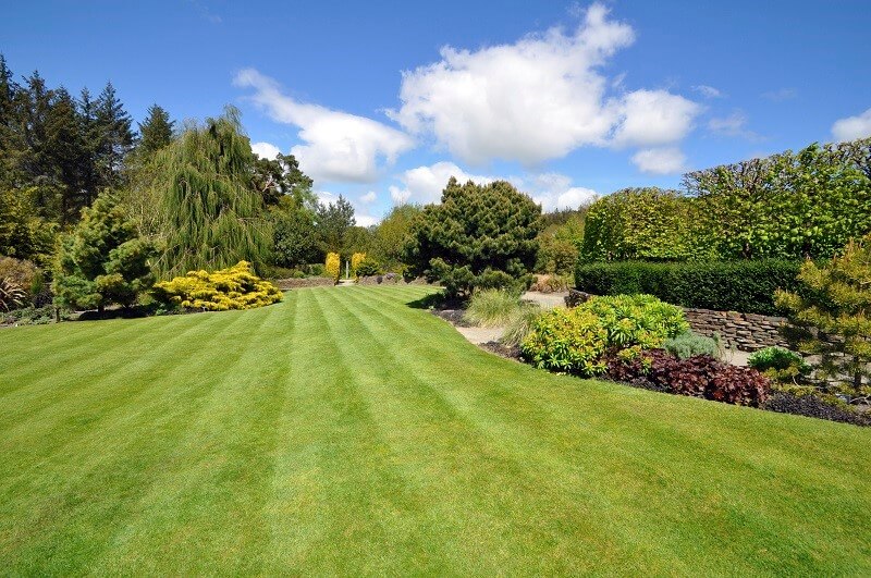 a well landscaped backyard lawn on a sunny day