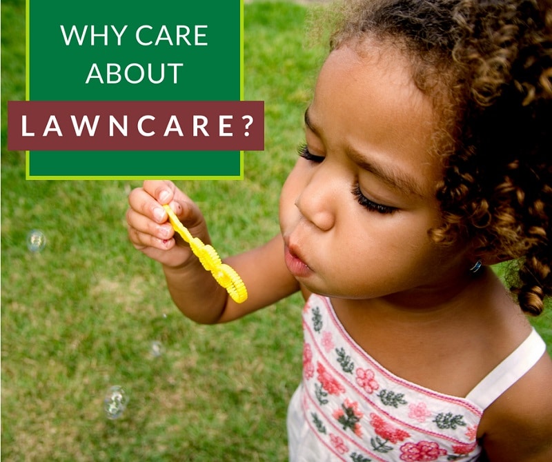 Why care about lawncare