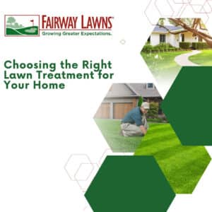 Choosing the Right Lawn Treatment for Your Home