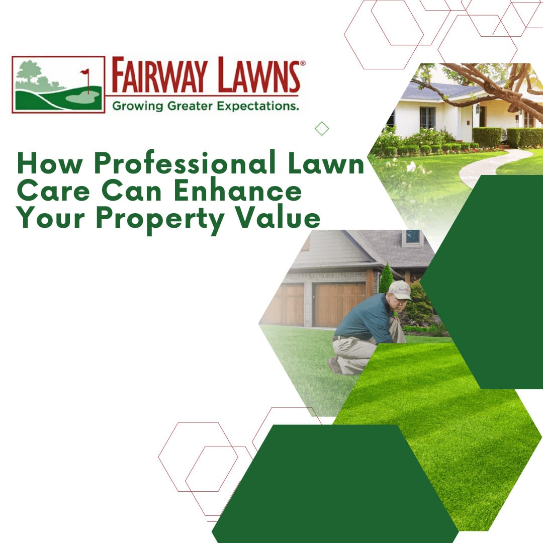 How Professional Lawn Care Can Enhance Your Property Value