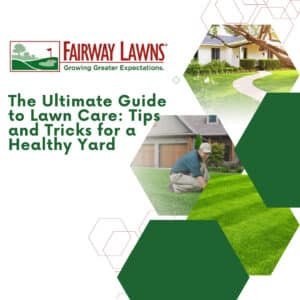 Tips and Tricks for a Healthy Yard
