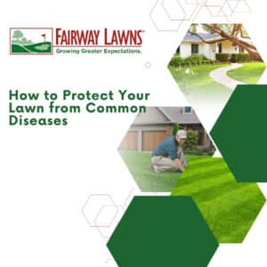 Protect Your Lawn