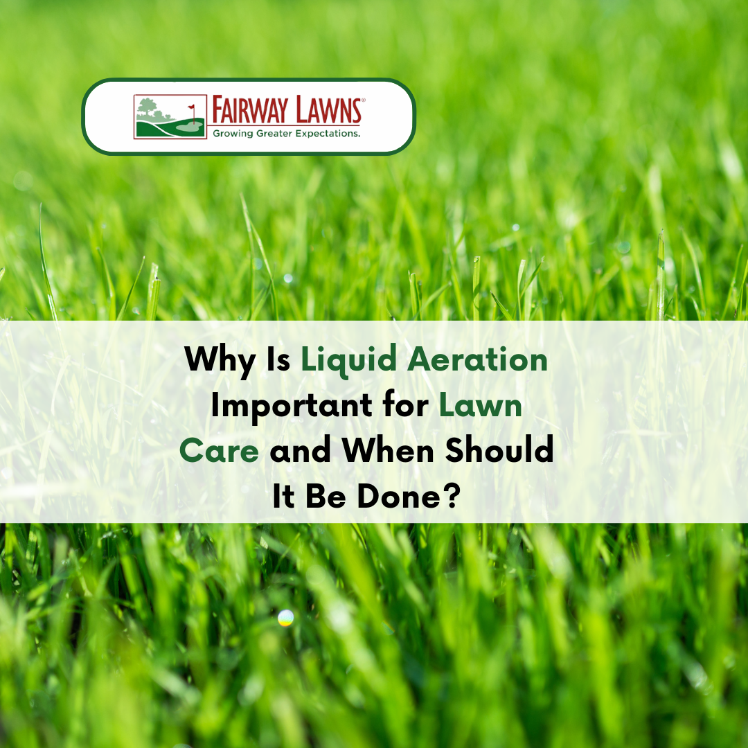 Liquid Aeration