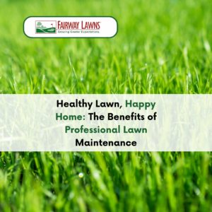 Expert Lawn Care