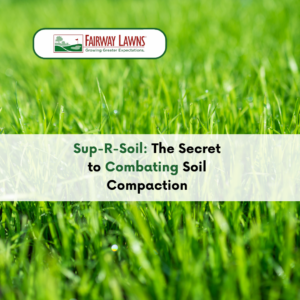 Soil Compaction