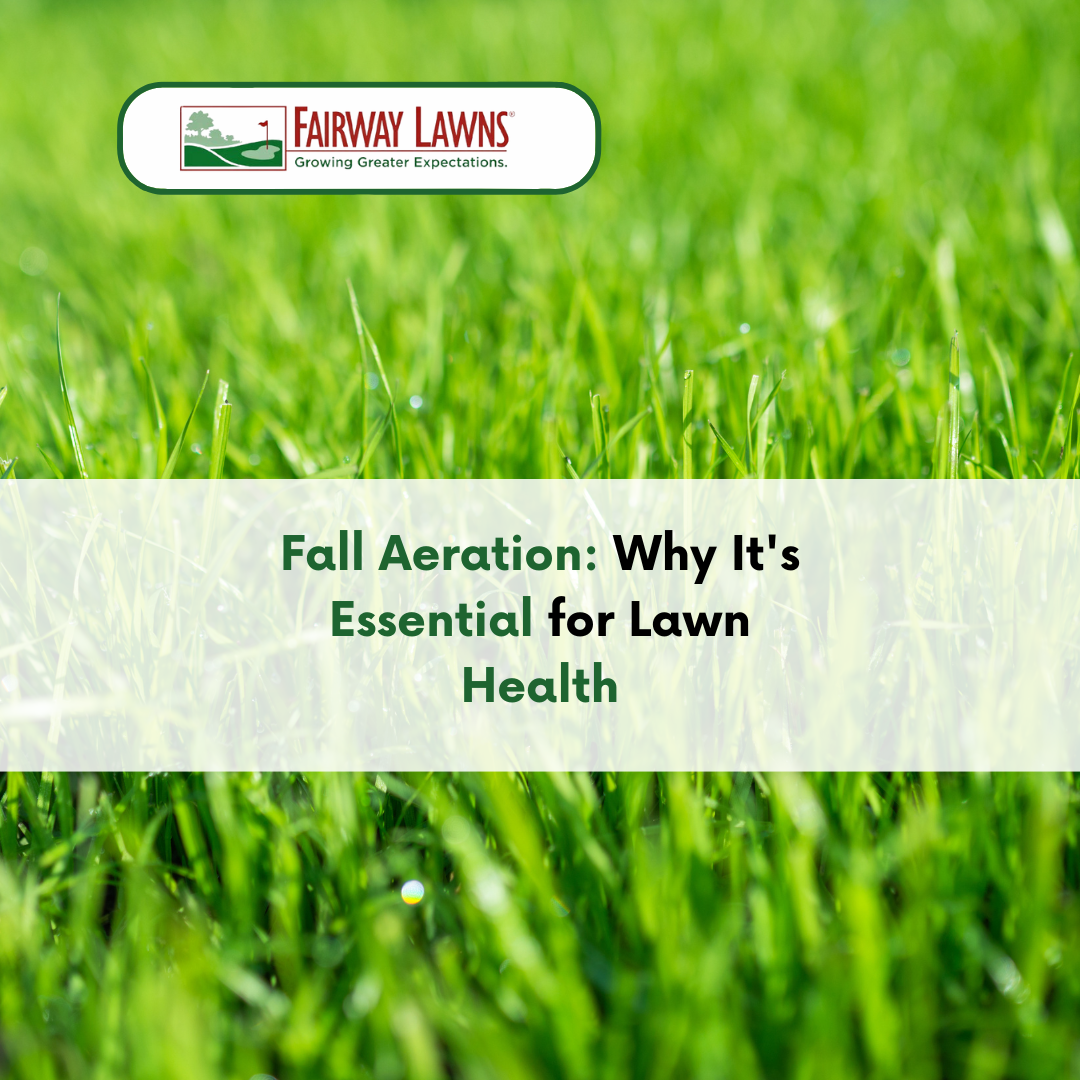 Fall Aeration