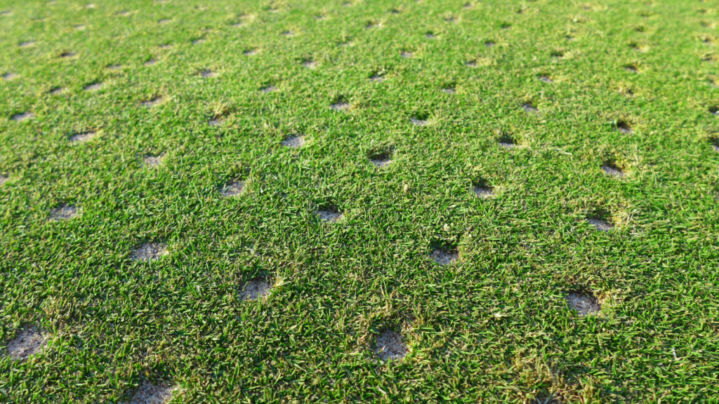 A close-up of lawn aeration in progress, showing small holes dug into the soil