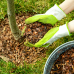 What Is Mulch? Explaining the Benefits, Types & More 