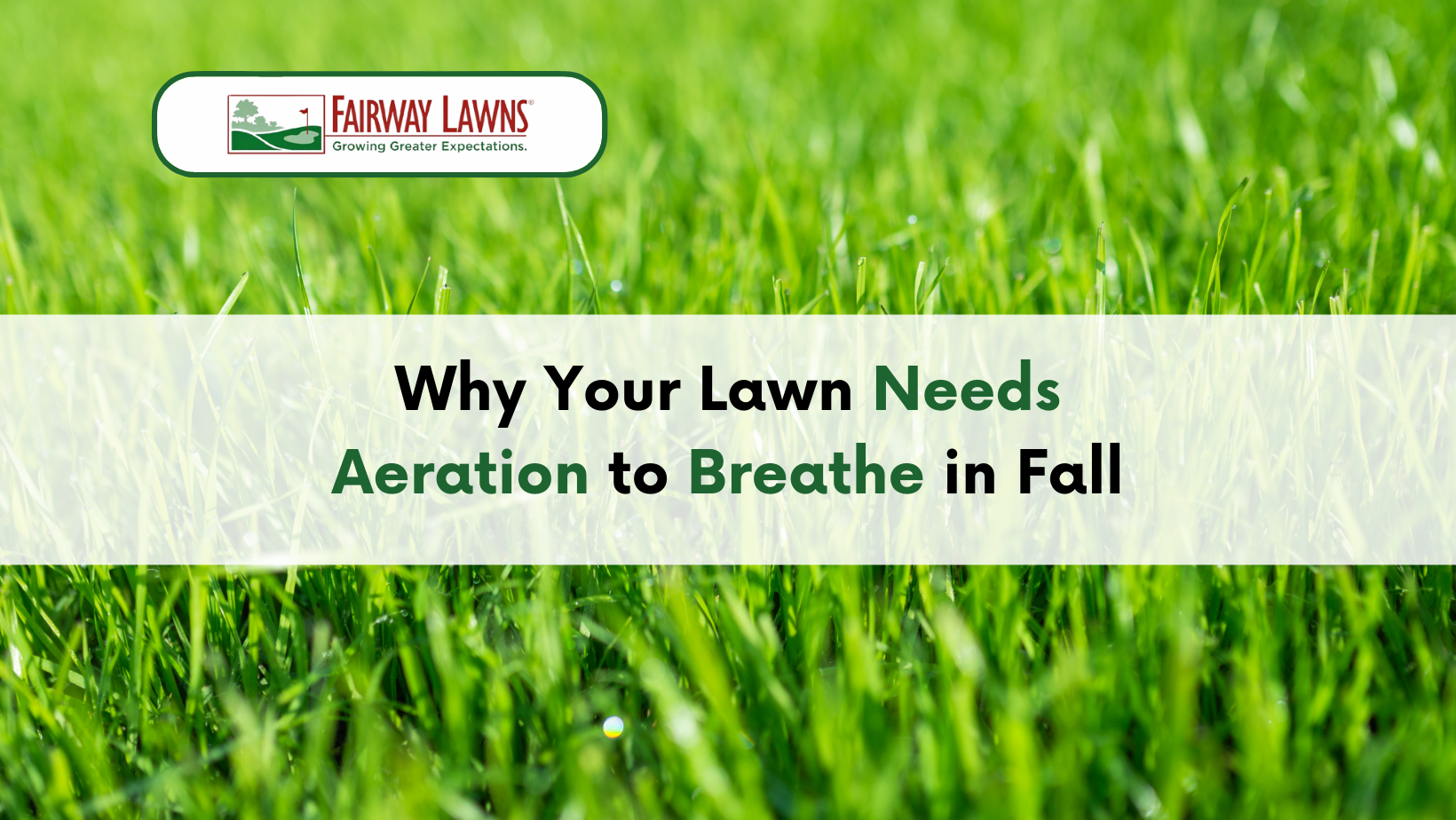 Why Your Lawn Needs Aeration to Breathe in Fall