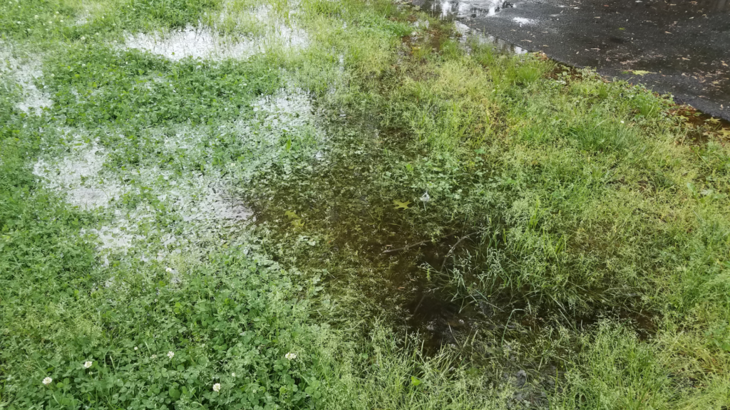 Demonstration of water pooling on soil