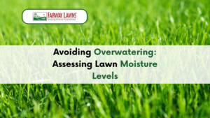 Avoiding Overwatering: Assessing Lawn Moisture Levels