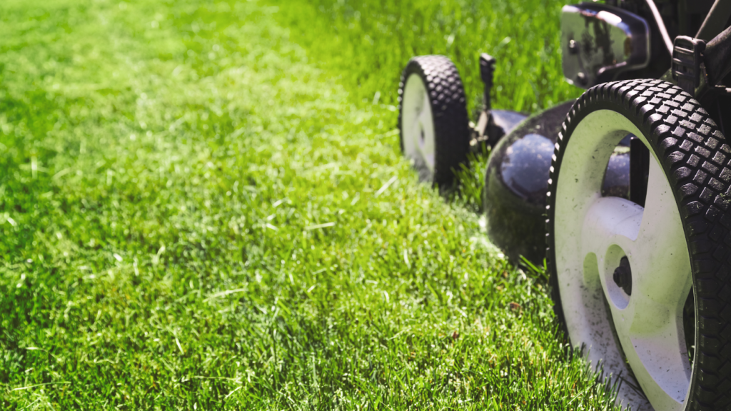 Close-up of a lawn mower