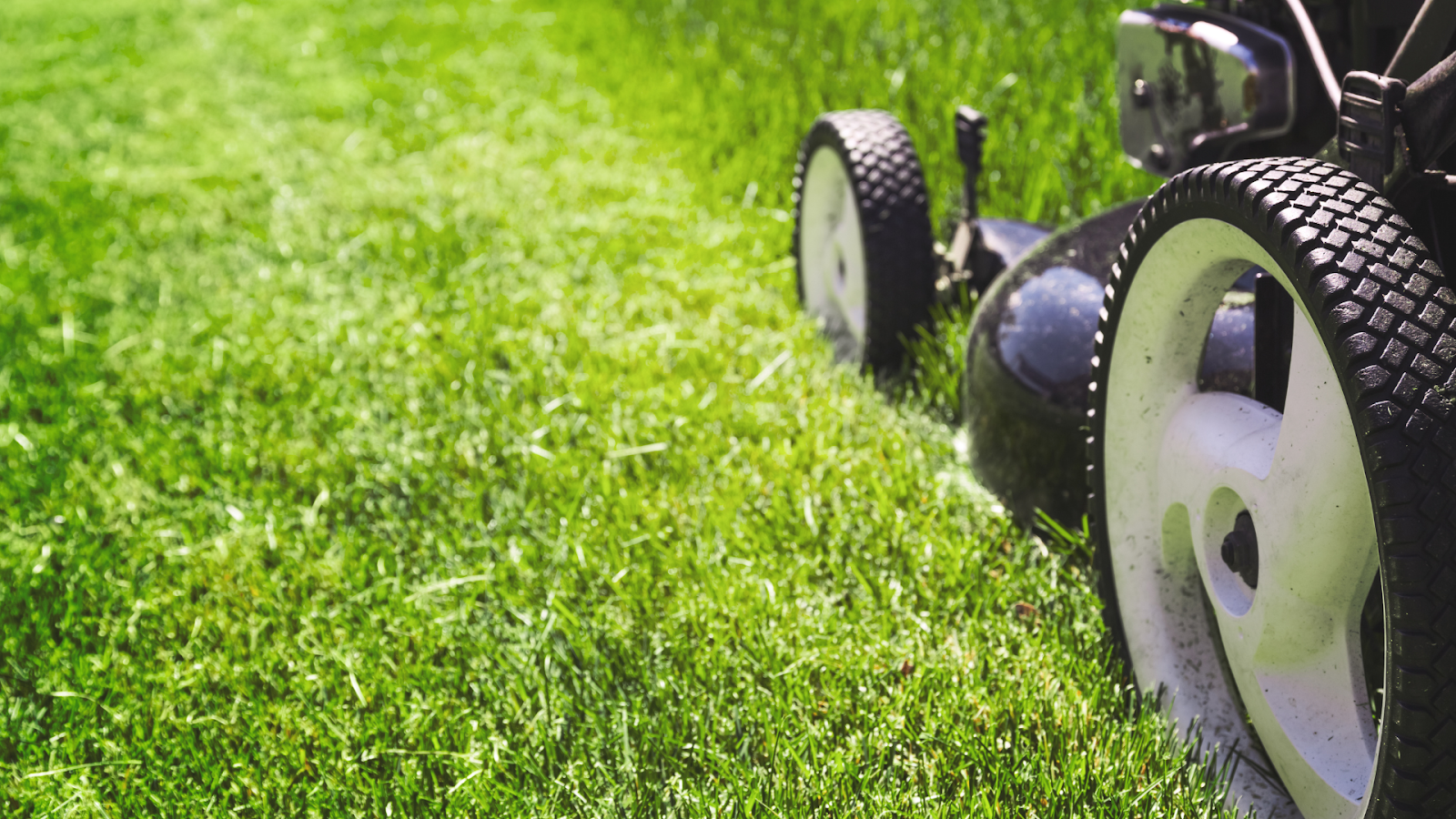 Close-up of a lawn mower