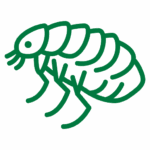 Fairway Lawns flea extermination services icon with an illustrated depiction of a flea