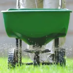 When to Fertilize Your Lawn + Complete Seasonal Schedule